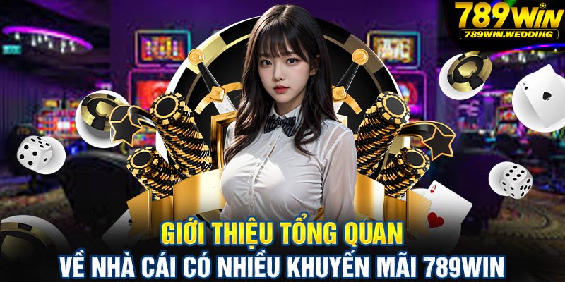 Giới thiệu tổng quan về nhà cái có nhiều khuyến mãi 789win