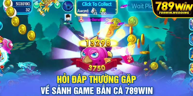 Hỏi đáp thường gặp về sảnh game bắn cá 789win