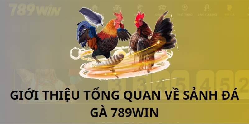 Các thông tin sơ lược về đá gà tre 789win