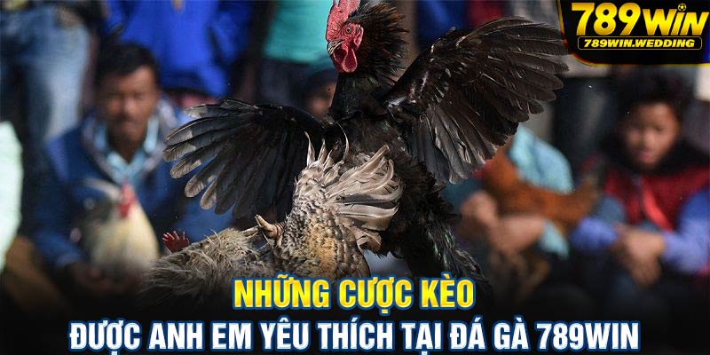 Những kèo cược được anh em yêu thích tại đá gà 789win