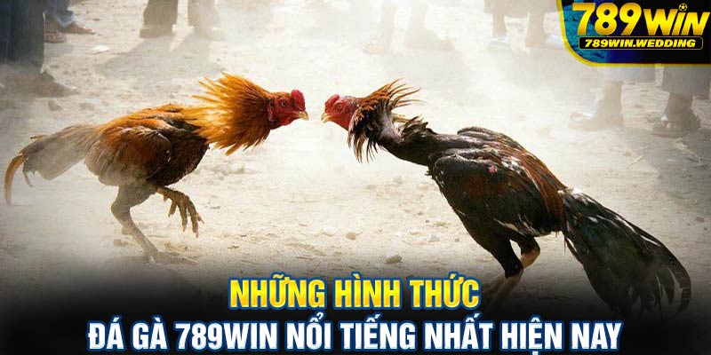 Những hình thức đá gà 789win nổi tiếng nhất hiện nay