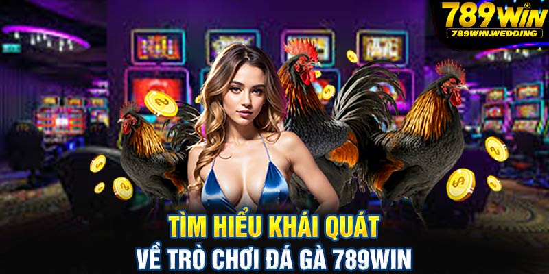 Tìm hiểu khái quát về trò chơi đá gà 789win